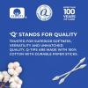imageQtips Precision Tips Cotton Swabs 170 Count 2Pack  Makeup Tools Beauty Personal Care ampamp Household Essentials170 Count Pack of 2